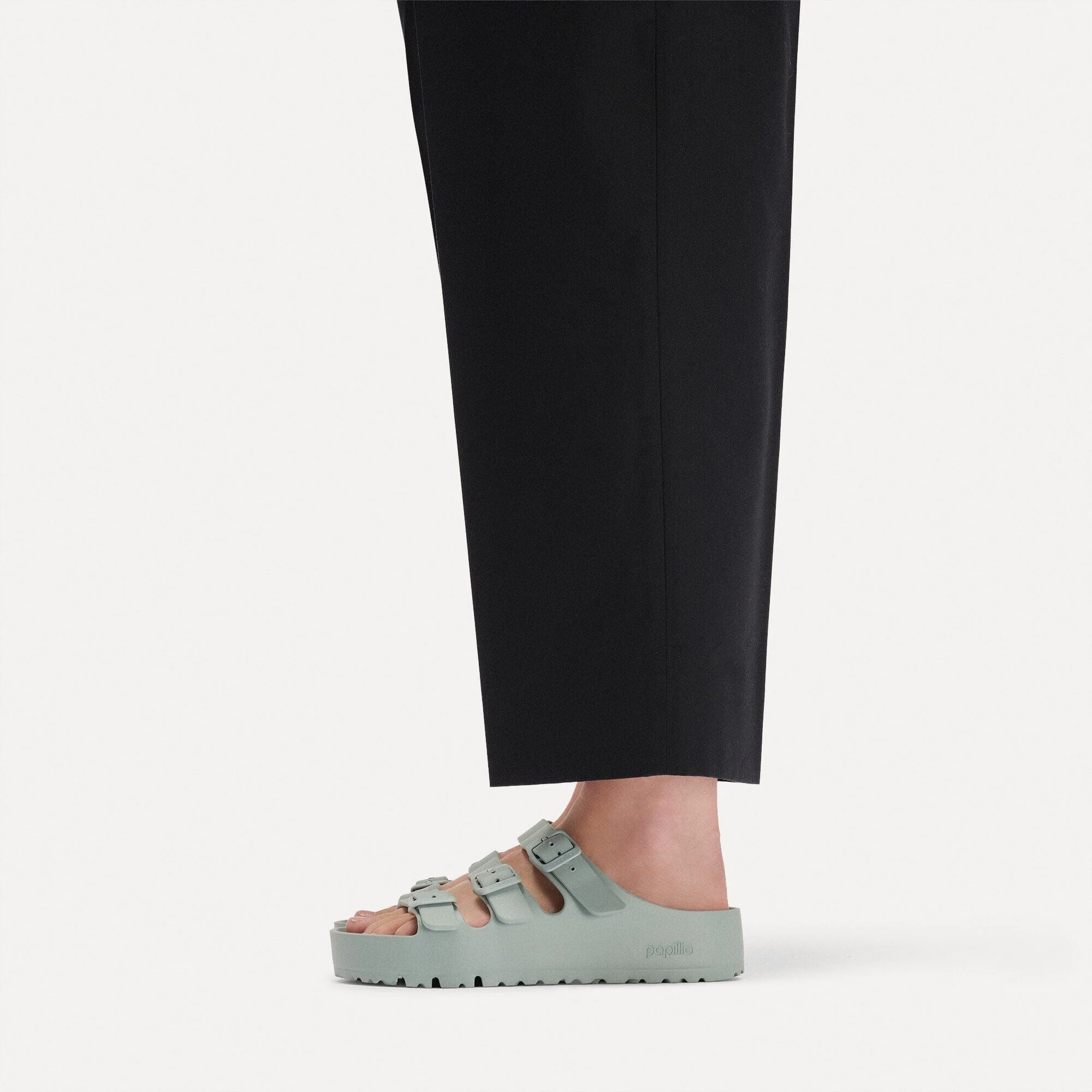Florida Flex Platform | EVA | Pure Sage - Image 3